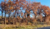 Tocht Te voet Rignano sull'Arno - IT-3 - Photo 4