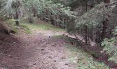 Percorso Marcia Theys - PINCERIE EN BOUCLE DEPUIS PIPAY - Photo 6