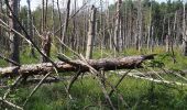 Tocht Te voet Carpin - Rundwanderweg Graues Wildschwein - Photo 3