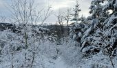 Tour Wandern Stablo - A la découverte de Hockai 🥾 - Photo 12