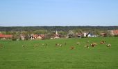 Tour Zu Fuß Dobl-Zwaring - Dobl Rundwanderweg 5 - Photo 8