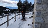 Tocht Sneeuwschoenen Font-Romeu-Odeillo-Via - llobens 2021  - Photo 1