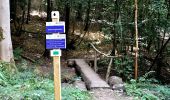 Percorso Marcia Yvoir - Promenade du chaînon manquant  - Photo 4