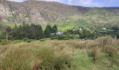 Tour Wandern West Cork - Glengarriff - Ardrigole - Photo 3