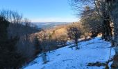 Randonnée Marche Mont Lozère et Goulet - Oultet/Lozerette/Les Sagne/Auriac - Photo 7