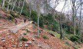 Trail Walking Plan-d'Aups-Sainte-Baume - Sainte Baume 8,5 km - Photo 13