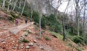 Tocht Stappen Plan-d'Aups-Sainte-Baume - Sainte Baume 8,5 km - Photo 13