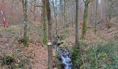 Tour Wandern Herbeumont - Antrogne - Photo 5