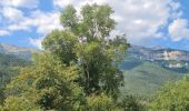 Trail Walking Châtillon-en-Diois - Châtillon-en-Diois-  La roche et l'eau  - Photo 2