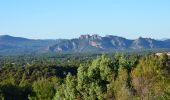 Excursión Senderismo Roquebrune-sur-Argens - La Bouverie - Bayonne - La Forteresse - Col Pierre du Coucou - Forêt de Raphèle - Photo 1