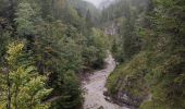 Tour Pfad Gemeinde Kirchdorf in Tirol - Grießbachklamm – Wasserfall - Photo 13