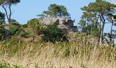 Tour Wandern Plougrescant - Le gouffre, la pointe du château à Plougrescant - Photo 17