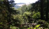 Trail Walking Sentheim - Buchberg - Rocher du Poilu  - Photo 3