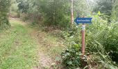 Tour Zu Fuß Schneeberg - Rundwanderweg Schneeberg 7: Morretal-Wanderung - Photo 10