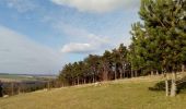 Excursión Senderismo Durbuy - Sur les dessus de Bomal - Photo 1