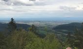 Tocht Stappen Neubois - Frankenbourg. Rocher dû coucou  - Photo 5