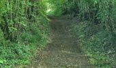 Trail Walking Monthodon - Monthodon Le Sentier - Photo 10