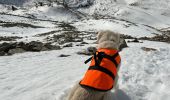 Percorso Racchette da neve Isola - Cime de la Lombarde  - Photo 4