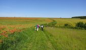 Tocht Stappen Étampes - base de loisirs d'Etampes - Photo 5