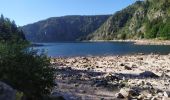 Trail Walking Orbey - Lac Blanc - Photo 7