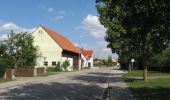 Trail On foot Hilpoltstein - Rothsee Rundweg No.11 - Photo 4