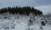 Tour Wandern Stablo - A la découverte de Hockai 🥾 - Photo 14