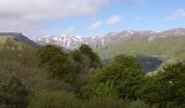 Excursión A pie Chambon-sur-Lac - La Vallée de Chaudefour - Photo 7