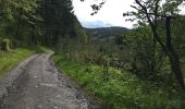 Tour Wandern Feitweiler - Tintange3 - Photo 3