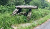 Tocht Stappen Labastide-Rouairoux - 34 Dolmen de la Gante au dessus de COURNIOU  - Photo 1