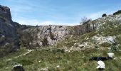 Percorso Mountainbike Plan-d'Aups-Sainte-Baume - VTT ste baume - Photo 1