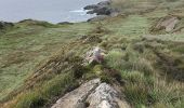 Tocht Te voet West Cork - Poet's Way - Photo 8