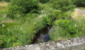 Percorso A piedi West Cork - Glanatnaw Walk - Photo 3