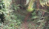 Trail Walking Clitourps - Clitourps  - Photo 6