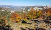 Trail Walking Castellane - CASTELLANE - CADIERES DE BRANDIS PAR COL DES LEQUES - Photo 17