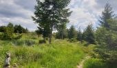 Tocht Stappen Grandfontaine - Positions fortifiées du Donon sentier des casemates - sud - Photo 15