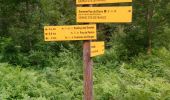 Trail Walking Orcines - Boucle Parking / Puy de dôme  - Photo 1