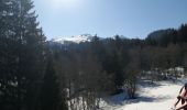 Randonnée Raquettes à neige Manigod - la cime d orcieres  - Photo 1