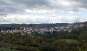 Excursión A pie Frauenberg - Saar-Hunsrück-Traumschleife: Graefin Loretta - Photo 5