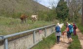 Percorso Marcia Nant - Nant Cantobre Nant - Photo 3