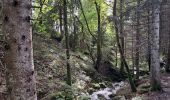 Trail Walking Talloires-Montmin - Chalet de l'Aups depuis la Côte par Col de la Forclaz - Photo 2