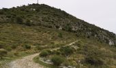 Trail Walking Aspremont -  le tour du Mont Chauve d'Aspremont - Photo 12