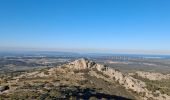 Trail Walking Roquefort-des-Corbières - Roquefort des Corbières  - Photo 13