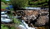 Tour Zu Fuß Unknown - planinarska staza Mirkovići - Brezovac - Photo 4