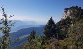 Tour Wandern Lans-en-Vercors - Vertige des Cimes - Grand Cheval - Pic St Michel - Col de  l Arc - Photo 9