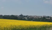 Tour Wandern Orry-la-Ville - Le tour du grand paris via le GR1  Etape 8 Coye - Dammartin - Photo 5