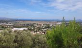 Percorso Bici da strada Hyères - Hyères J1 P13 - Photo 1