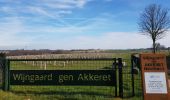 Trail Walking Eijsden-Margraten - Mheer - St Geertruid - Photo 2