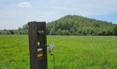 Tour Wandern Blegny - GR5 - BLEGNY -> FRAIPONT  - Photo 17