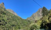 Randonnée Marche São Roque do Faial - Le chaudron vert  - Photo 17