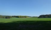 Excursión Senderismo Neufchâteau - Tronquoy - Sberchamps - Photo 17